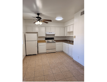 Ceiling fan